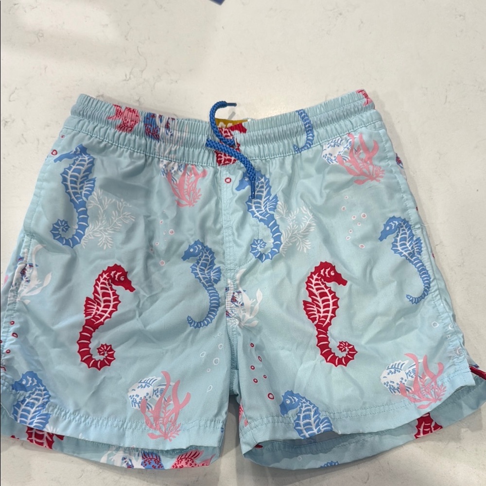 The Beaufort Bonnet Company Kids Swim Trunks - Blue and Red Seahorse Print